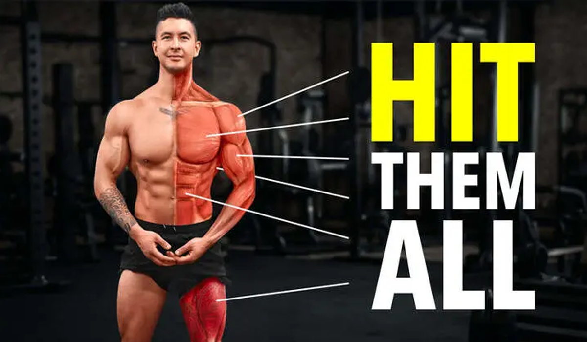 Boost Your Body A Proven Effective Body Training Method