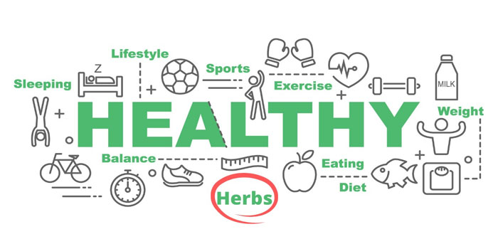 Building a Healthy Lifestyle Through Simple Fitness Habits