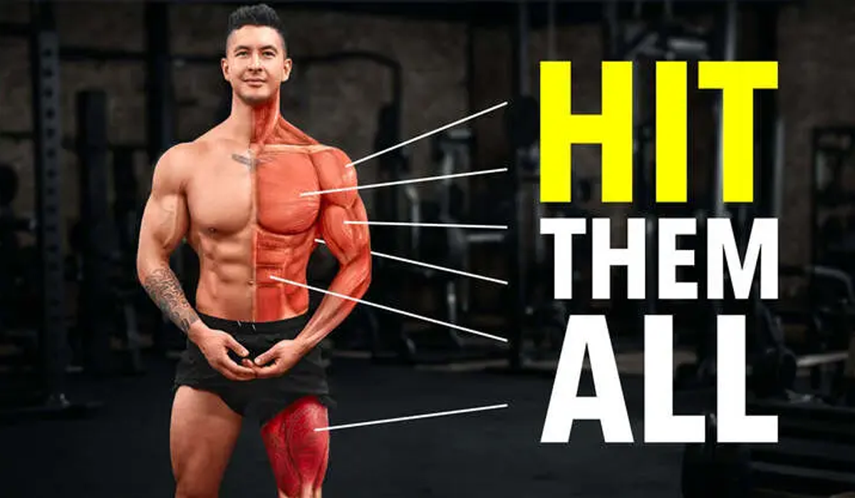 Body Optimization with Structured Body Training Method