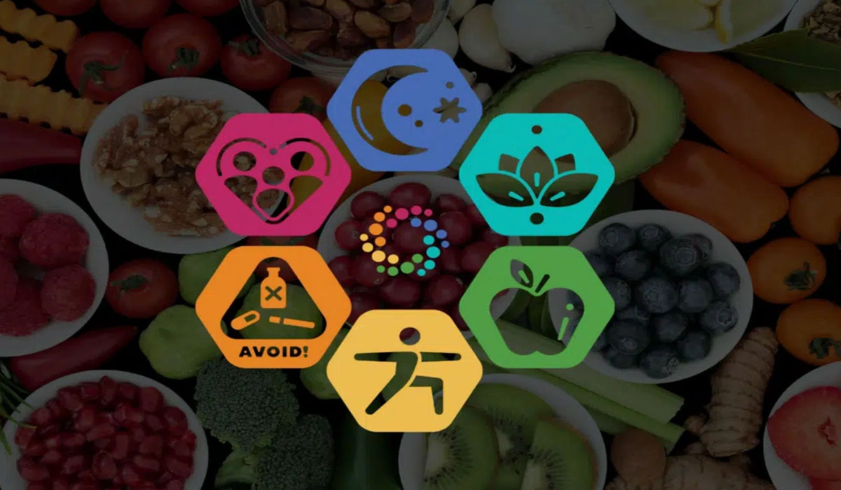 Nutrition As The Foundation Of Lasting Transformation