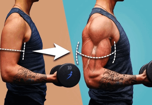 Effective Body Training Strategies To Build Your Ideal Physique Consistently