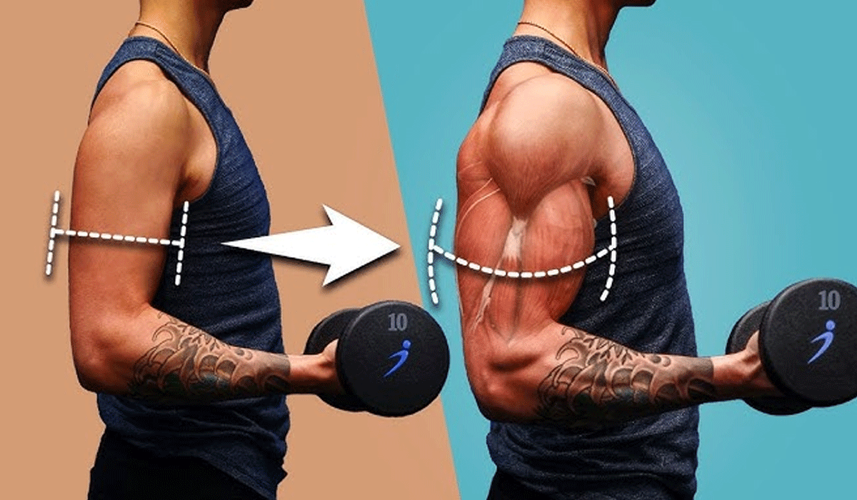 Effective Body Training Strategies To Build Your Ideal Physique Consistently